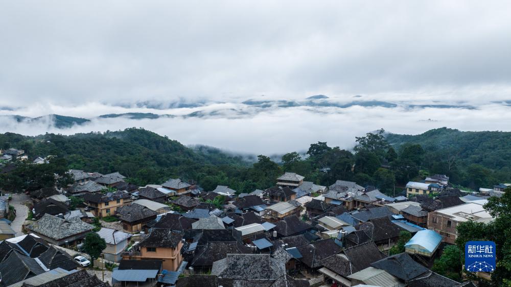 沙巴在线投注